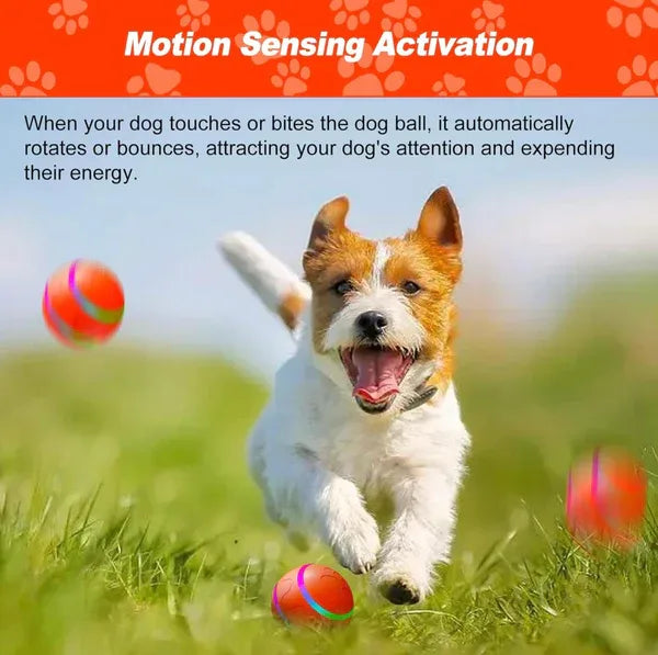 Interactive Remote Dog Ball