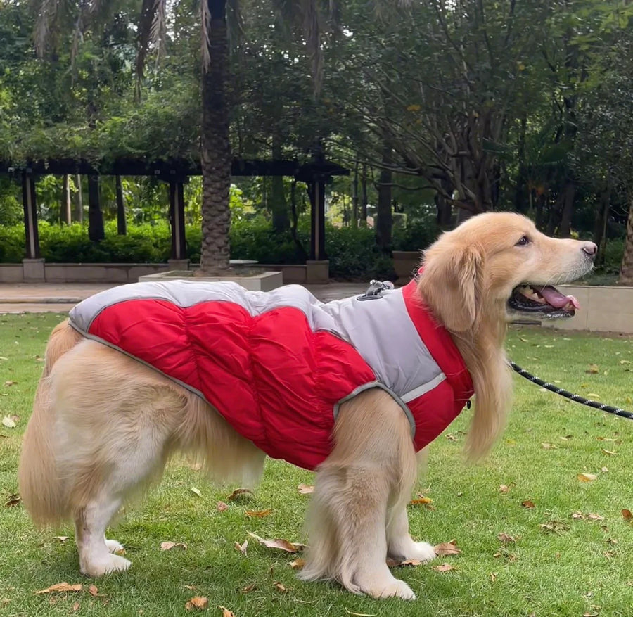 Winter Dog Jacket™