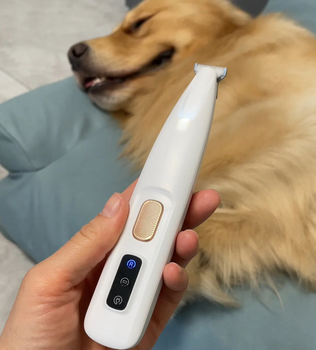 Paw hair trimmer hotsell