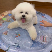 Pet Water Bed™