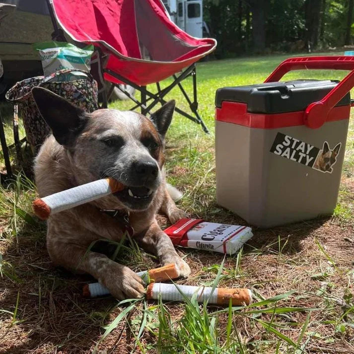 dog ate pack of cigarettes My tobacco: what are the risks and what should I do? My Dog Ate a Cigarette