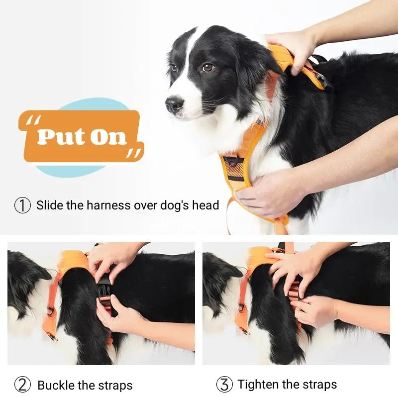 No Pull Adjustable Harness & Leash