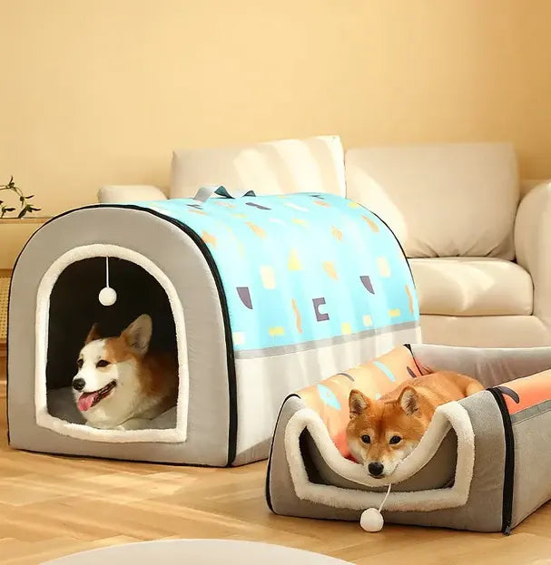 Dog 2024 warm house