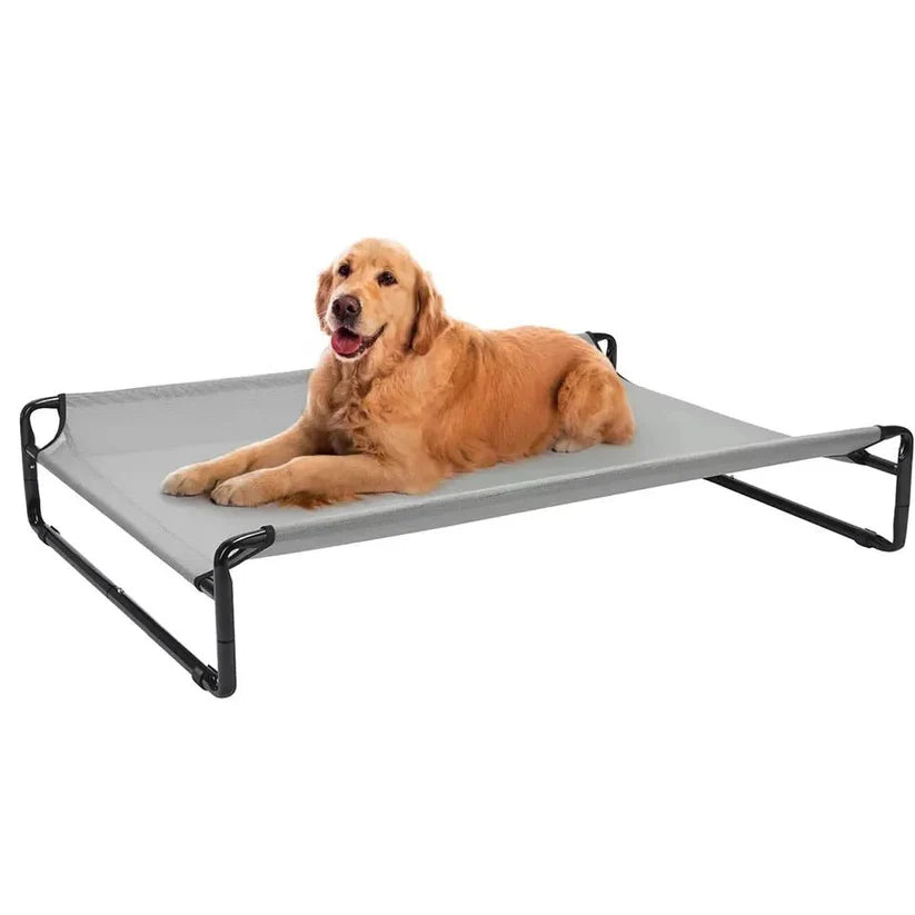 Elevated Dog Bed