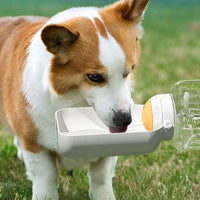 Portable Dog Bottle