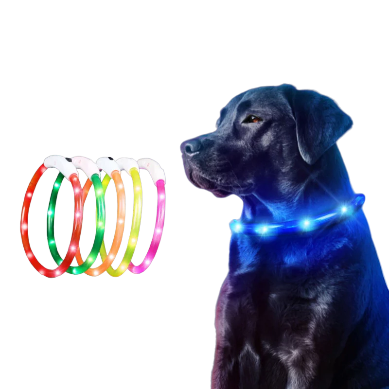 LED Dog Collar