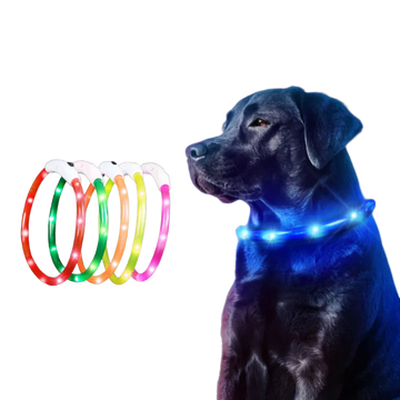 LED Dog Collar