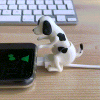 Funny Dog Fast Charger