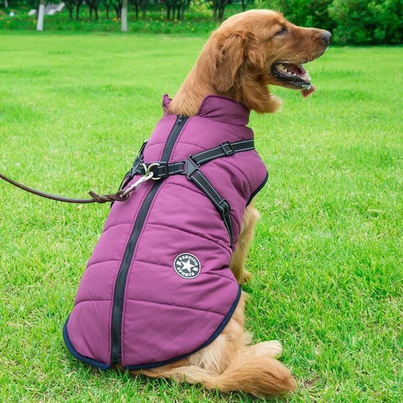 Waterproof Winter Jacket + Harness