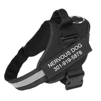 No Pull Dog Harness