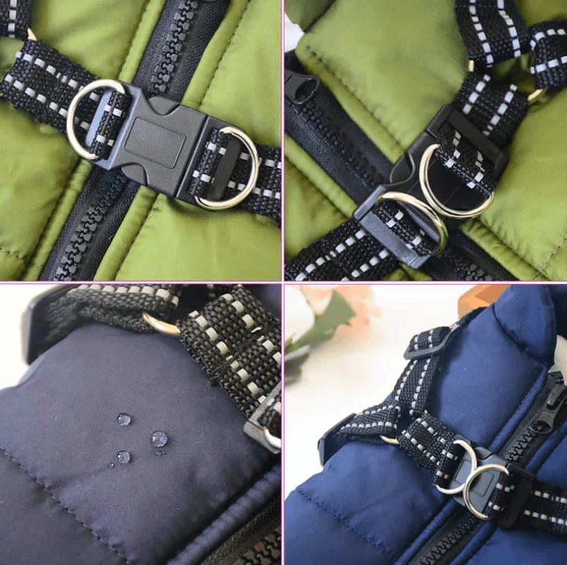 Waterproof Winter Jacket + Harness