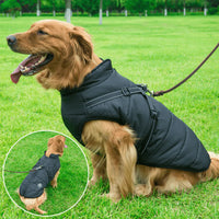 Waterproof Winter Jacket + Harness