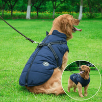 Waterproof Winter Jacket + Harness