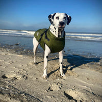 Waterproof Winter Jacket + Harness