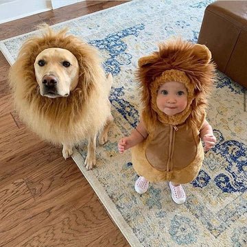 Lion Dog Costume