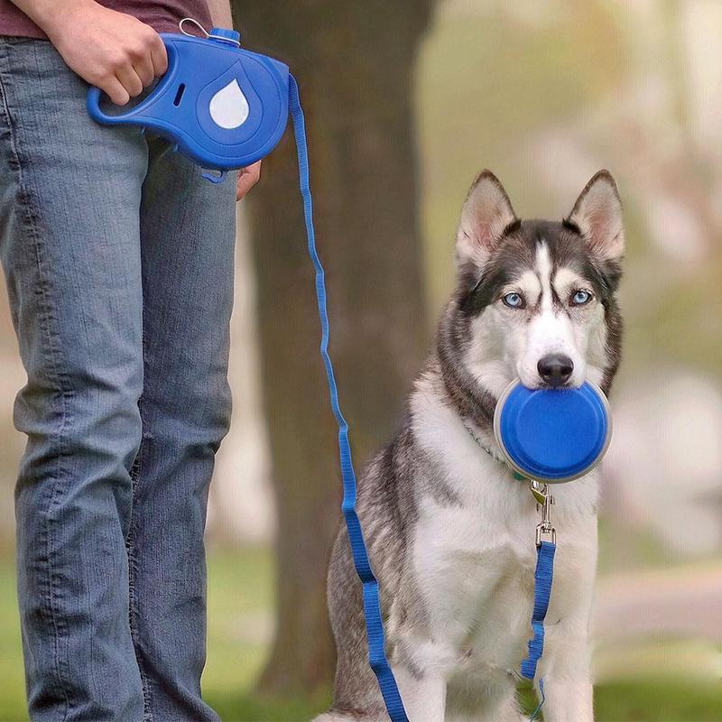 Smart Leash - All in One