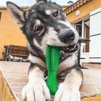 Dog Toothbrush - Most Effective